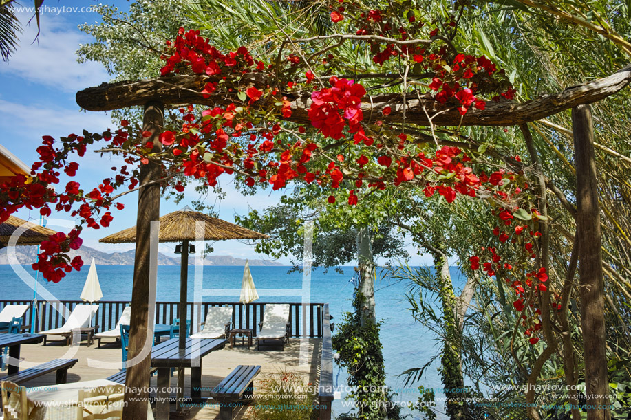 View of koukla beach with flowers at Zakynthos island, Greece