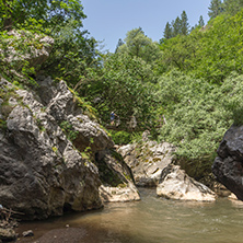 Green forest around Erma River Gorge, Bulgaria