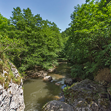 Green forest around Erma River Gorge, Bulgaria