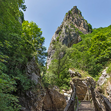 Wood Bridge over Erma River Gorge, Bulgaria