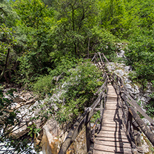 old wooden bridge of planks over narrow stream on hillside, Erma River Gorge, Bulgaria