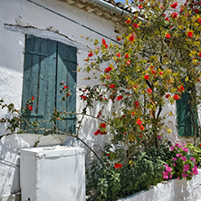 Window of the medieval house with flowers, Zakynthos island, Greece