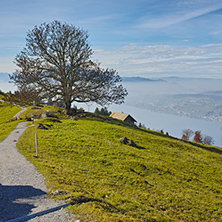 Panoramic view of Lake Lucerne, Alps, Switzerland