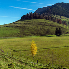 Mount Rigi and autumn landscape, Alps, Switzerland