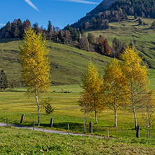 Mount Rigi and autumn landscape, Alps, Switzerland