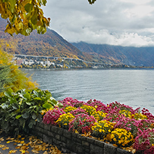 Amazing view of Lake Geneva, Alps and flowers, Montereux, canton of Vaud, Switzerland