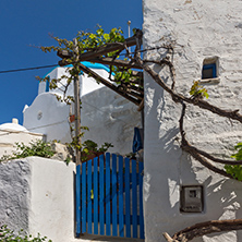 White chuch and vine in town of Parakia, Paros island, Cyclades, Greece