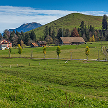 Green meadows and mountain houses above Lake Lucerne, near mount Rigi, Alps, Switzerland