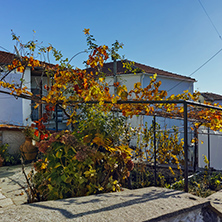 Old houses and vine in the yard, old town of Xanthi, East Macedonia and Thrace, Greece
