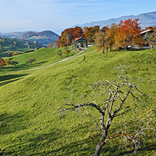 green meadows and typical Switzerland village near town of Interlaken, canton of Bern