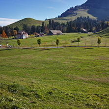Anazing view Green meadows above Lake Lucerne, near mount Rigi, Alps, Switzerland