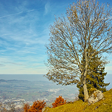 Autumn Landscape near mount Rigi, Alps, Switzerland