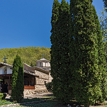 Cypresses and church in  Temski monastery St. George, Pirot Region, Republic of Serbia