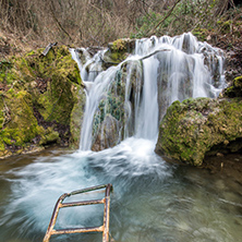 Deep forest Waterfall near village of Bachkovo, Plovdiv region, Bulgaria