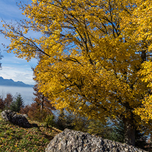 Autumn Landscape near mount Rigi, Alps, Switzerland