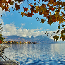 autumn tree in embankment of town of Vevey and Lake Geneva, canton of Vaud, Switzerland