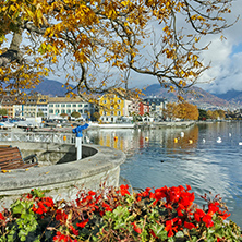 Flowers in embankment of town of Vevey and Lake Geneva, canton of Vaud, Switzerland