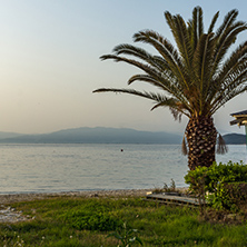 Sunset on embankment and palm tree in Thassos town, East Macedonia and Thrace, Greece