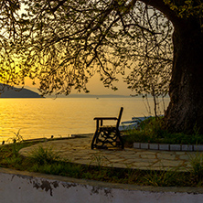 Sunset on embankment and tree in Thassos town, East Macedonia and Thrace, Greece
