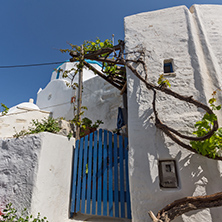white houses with flowers in town of Parakia, Paros island, Cyclades, Greece