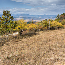 Autumn Landscape with yellow trees of Cherna Gora mountain, Pernik Region, Bulgaria