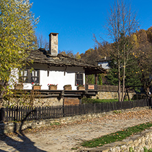 Autumn tree and old house in village of Bozhentsi, Gabrovo region, Bulgaria