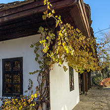 Amazing view of Old house with vine in village of Bozhentsi, Gabrovo region, Bulgaria