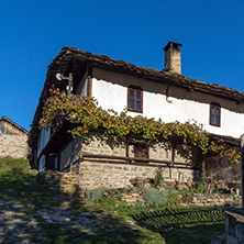 Old house with vine in village of Bozhentsi, Gabrovo region, Bulgaria