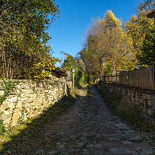 Street with autumn trees in village of Bozhentsi, Gabrovo region, Bulgaria