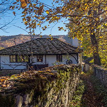 Amazing view of Street with autumn trees in village of Bozhentsi, Gabrovo region, Bulgaria