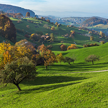 green meadows and typical Switzerland village near town of Interlaken, canton of Bern
