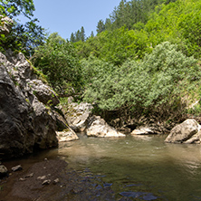 Green forest around Erma River Gorge, Bulgaria