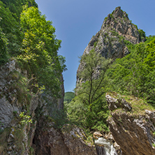 Landscape with Green forest around Erma River Gorge, Bulgaria