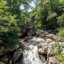 Amazing Landscape with Green forest around Erma River Gorge, Bulgaria