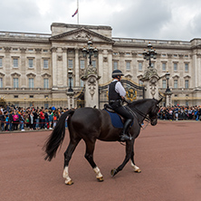 LONDON, ENGLAND - JUNE 17 2016: Buckingham Palace in London, England, Great Britain