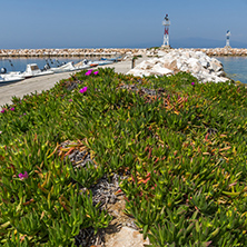 Seascape with Spring flowers and pier in Skala Sotiros, Thassos island, East Macedonia and Thrace, Greece