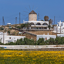 Panoramic view of Town of Ano Mera with spring flowers, island of Mykonos, Cyclades, Greece