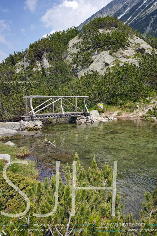 Landscape with Wooden bridge over mountain river, Pirin Mountain, Bulgaria
