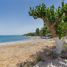 beach of town of Poros, Kefalonia, Ionian Islands, Greece