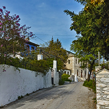 Street in the village of Theologos,Thassos island, East Macedonia and Thrace, Greece