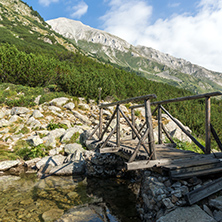 wooden bridge over river, Pirin Mountain, Bulgaria
