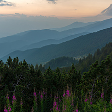 Amazing sunset of nothen part of Pirin mountain near Sinanitsa peak,  Bulgaria