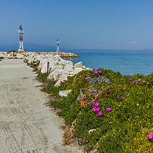 Spring flowers and pier in Skala Sotiros, Thassos island, East Macedonia and Thrace, Greece
