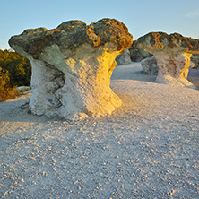 Stone Mushrooms colored in yellow from Sunrise near Beli plast village, Kardzhali Region, Bulgaria