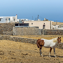 Rural landscape in island of Mykonos, Cyclades, Greece