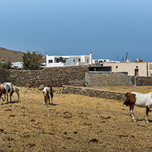 Rural landscape in island of Mykonos, Cyclades, Greece
