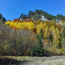 Panoramic Autumn view of Buynovsko gorge, Rhodope Mountains, Bulgaria