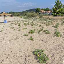 CHALKIDIKI, CENTRAL MACEDONIA, GREECE - AUGUST 25, 2014: Seascape of Monopetro Beach at Sithonia peninsula, Chalkidiki, Central Macedonia, Greece
