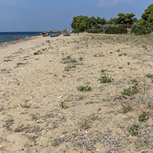 CHALKIDIKI, CENTRAL MACEDONIA, GREECE - AUGUST 25, 2014: Seascape of Blue Dolphin Cove Beach Metamorfosi at Sithonia peninsula, Chalkidiki, Central Macedonia, Greece