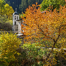 19th century Church of the Assumption, river and Autumn tree in town of Shiroka Laka, Smolyan Region, Bulgaria